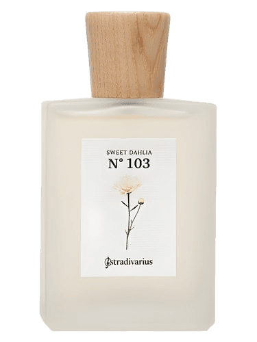 Stradivarius No 103 Sweet Dahlia