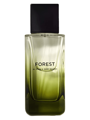 Bath & Body Works Forest