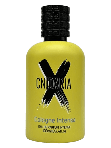 Samam Cnidaria X Cologne Intense
