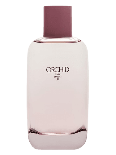Zara Orchid Bloom 01
