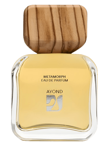 Ayond Metamorph