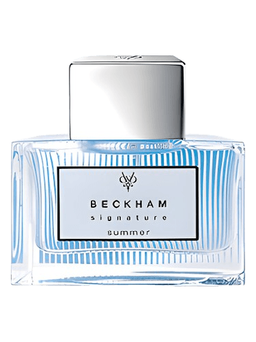 David Beckham Signature Summer for Him