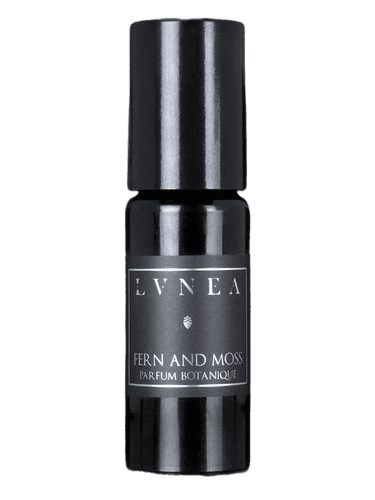 Lvnea Fern and Moss
