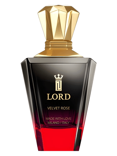 Lord Milano Velvet Rose