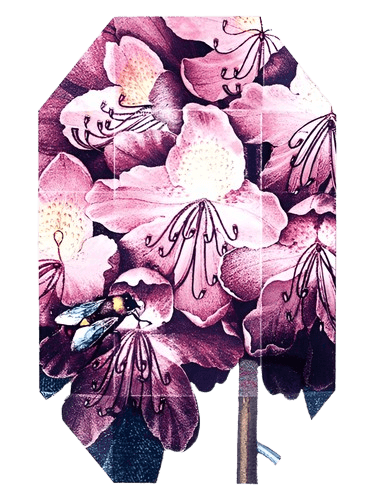Stella McCartney Print Collection Stella 01 (2011)