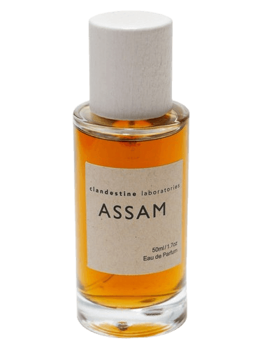Clandestine Laboratories Assam