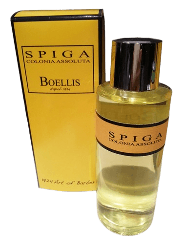 Boellis Spiga