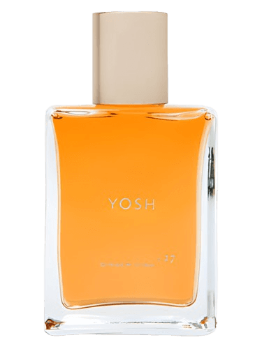 Yosh Ginger Ciao 2.27