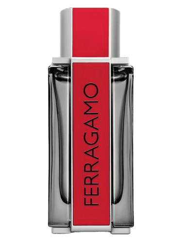 Salvatore Ferragamo Ferragamo Red Leather