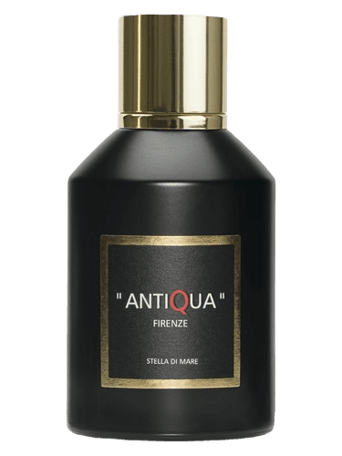 Antiqua Firenze Stella Di Mare