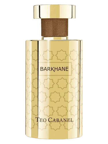 Teo Cabanel Barkhane