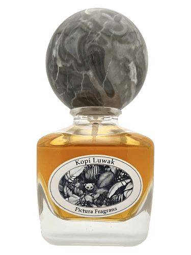 Pictura Fragrans Kopi Luwak