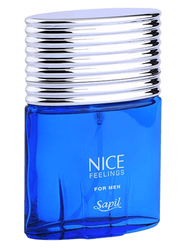Sapil Nice Feelings