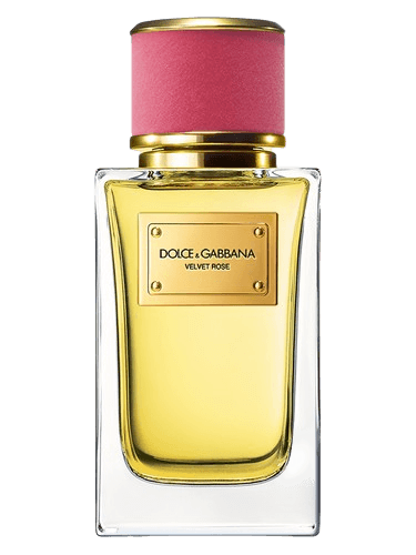 Dolce&Gabbana Velvet Rose