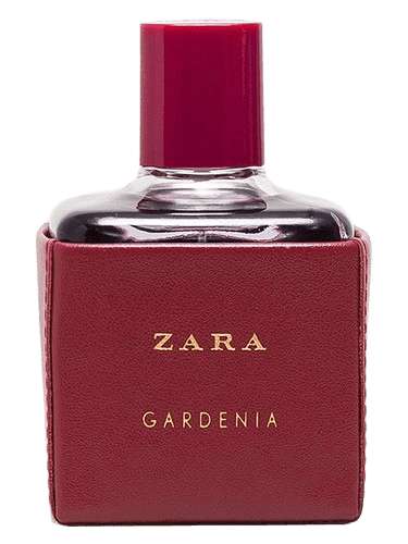 Zara Zara Gardenia 2016