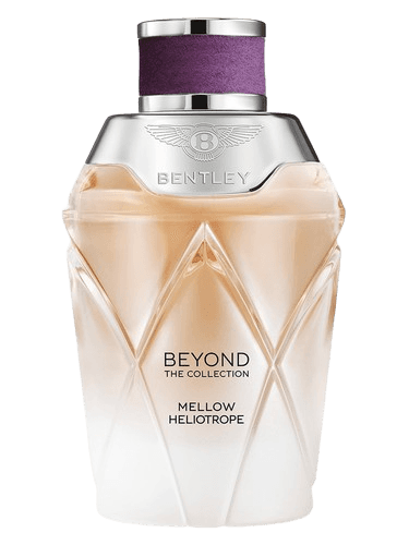 Bentley Mellow Heliotrope