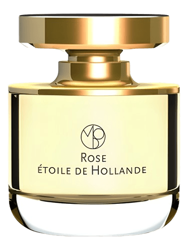 Mona di Orio Rose Etoile de Hollande