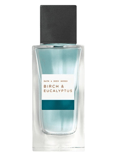 Bath & Body Works Birch & Eucalyptus