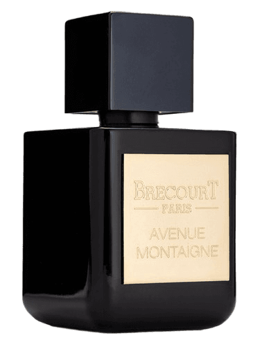 Brecourt Avenue Montaigne