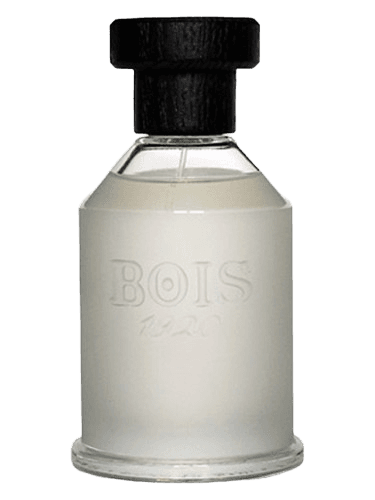 Bois 1920 Sopra Il Mare