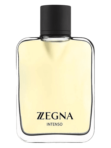 Ermenegildo Zegna Zegna Intenso