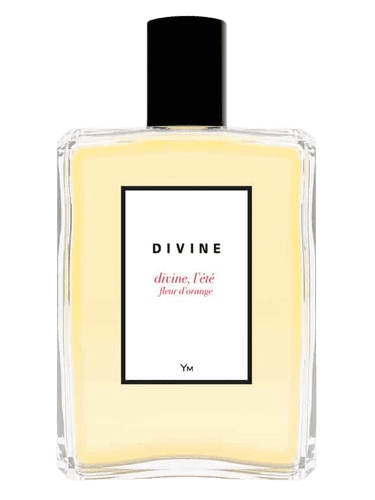 Divine Divine, l'été fleur d'orange