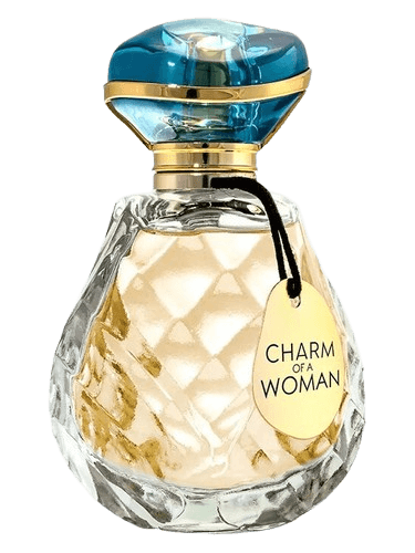 Paris Elysees Charm Of A Woman