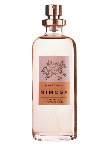 Florascent Mimosa