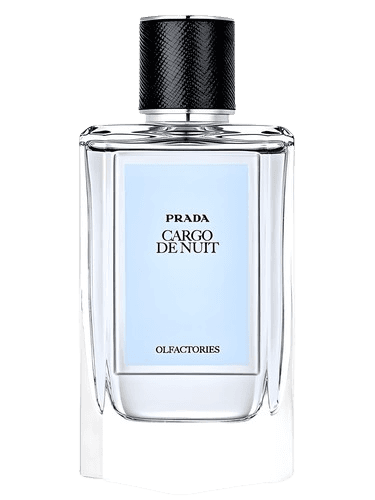 Prada Cargo de Nuit