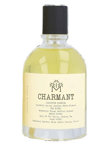 Moudon Charmant