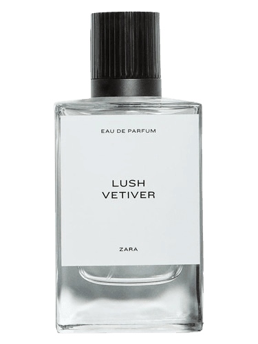 Zara Lush Vetiver