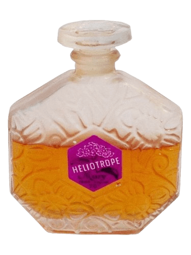 Mury Paris Heliotrope