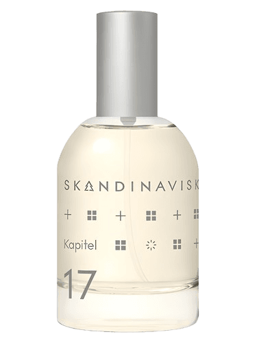 Skandinavisk Kapitel 17