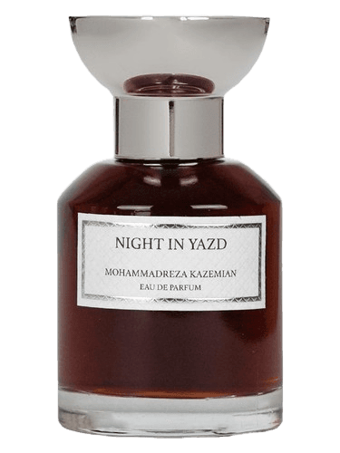 Mohammadreza Kazemian Night in Yazd