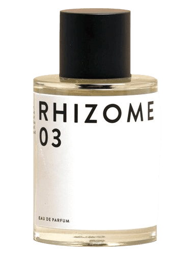 Rhizome Rhizome 03