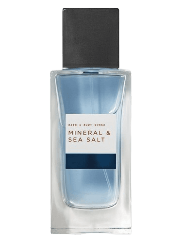 Bath & Body Works Mineral & Sea Salt