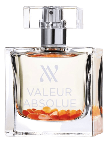 Valeur Absolue Confiance