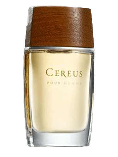 Cereus Cereus No.7