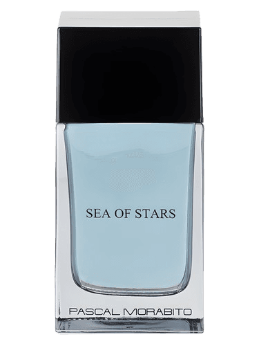 Pascal Morabito Sea of Stars