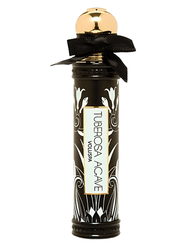 Voluspa Tuberosa Agave