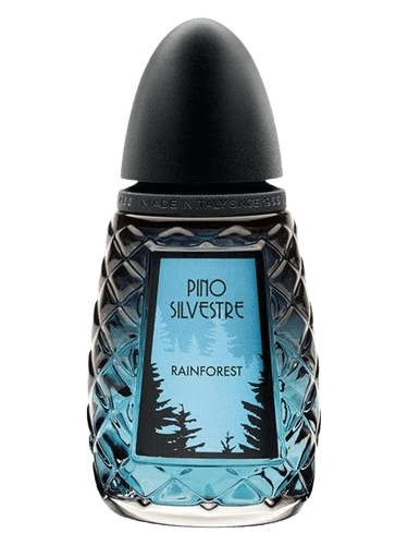 Pino Silvestre Rainforest