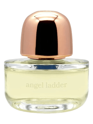Kilesa Angel Ladder