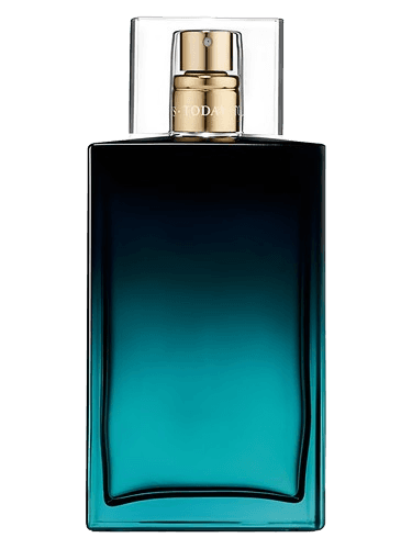 Avon Today Tomorrow Always The Moment Him