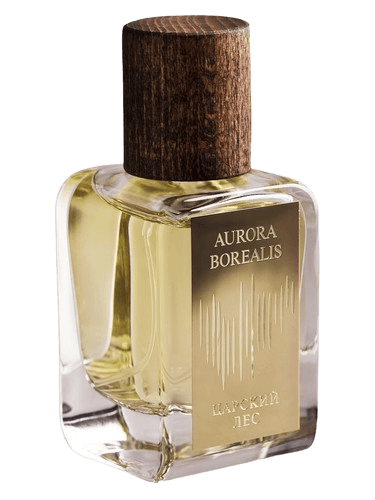 Aurora Borealis Царский лес — Tsar's Forest