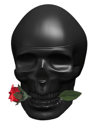 Christian Audigier Ed Hardy Skulls & Roses for Him