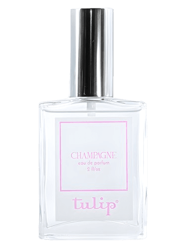 Tulip Champagne