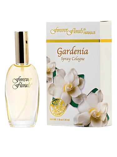 Forever Florals Hawaii Gardenia