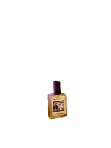 Solstice Scents Cliffside Bonfire