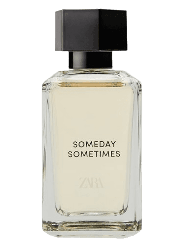 Zara Someday Sometimes (Into The Joyful)