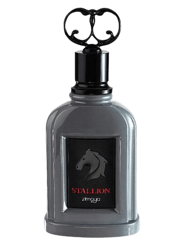 Zimaya Stallion
